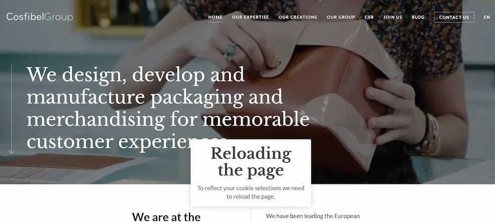 Cosfibel Group